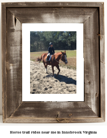 horse trail rides near me in Innsbrook, Virginia